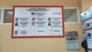 STRUKTUR ORGANISASI KESRA
